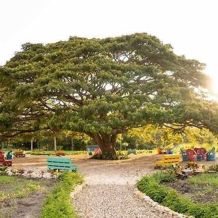 Hacienda La Huerta, Puerto Plata Villa ภายนอก รูปภาพ